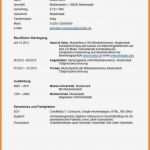 Vorlage Tabellarischer Lebenslauf Openoffice Fabelhaft 8 Lebenslauf Vorlage Ausbildung