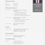 Vorlage Tabellarischer Lebenslauf Openoffice Luxus Wunderbar Kostenloser Professioneller Lebenslauf Vorlagen