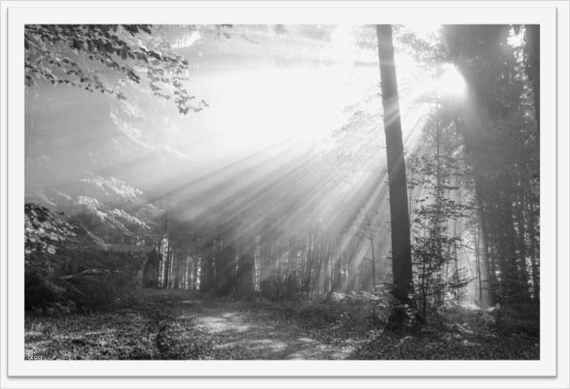 Vorlage Trauerkarte Kostenlos Erstaunlich Schwarzweisskarten Ausdrucken Kostenloser Download