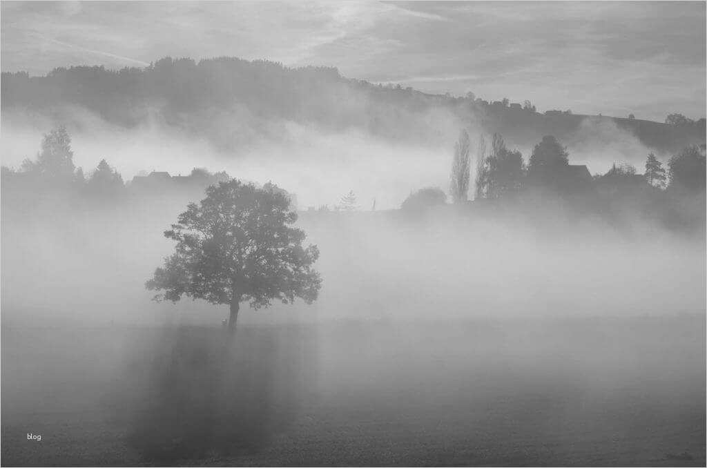 Vorlage Trauerkarte Kostenlos Erstaunlich Trauerkarten Ausdrucken Kostenloser Download Für Private