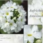 Vorlage Trauerkarte Kostenlos Neu Trauerkarten Reisen Mit Muße Entspannt Leben