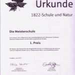 Vorlage Urkunde Freie Trauung Angenehm Berühmt Urkunde Vorlage Galerie Beispiel Wiederaufnahme