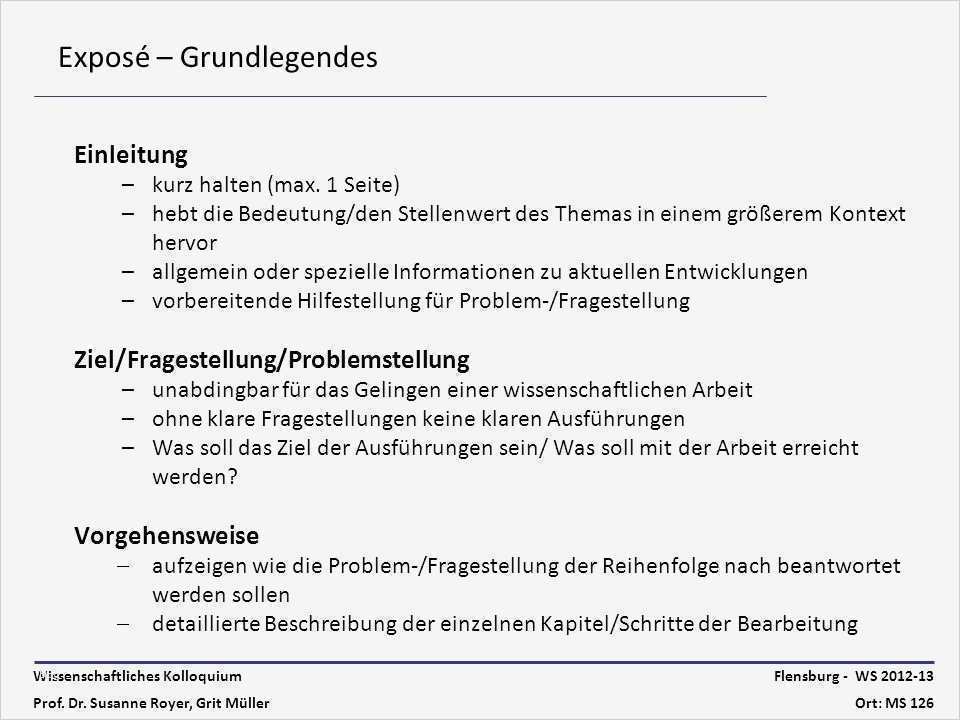 Vorlage Wissenschaftliche Arbeit Hübsch Expose Beispiel Kleid