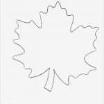 Vorlagen Für Engelsflügel Zum Basteln Beste Die Besten 17 Ideen Zu Herbstblätter Vorlagen Auf