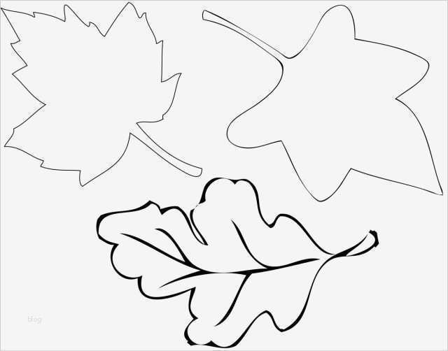 Vorlagen Für Engelsflügel Zum Basteln Bewundernswert Die Besten 17 Ideen Zu Herbstblätter Vorlagen Auf