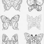 Vorlagen Für Schmetterlinge Zum Basteln Schönste Naturpark Fläming Labyrinth Im Schuhkarton