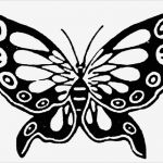 Vorlagen Für Schmetterlinge Zum Basteln Wunderbar Schmetterling Basteln Schmetterlinge Aus Filz Papier
