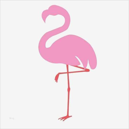 Vorlagen Für T Shirts Hübsch T Shirts Selbst Gestalten Gratis Vorlagen