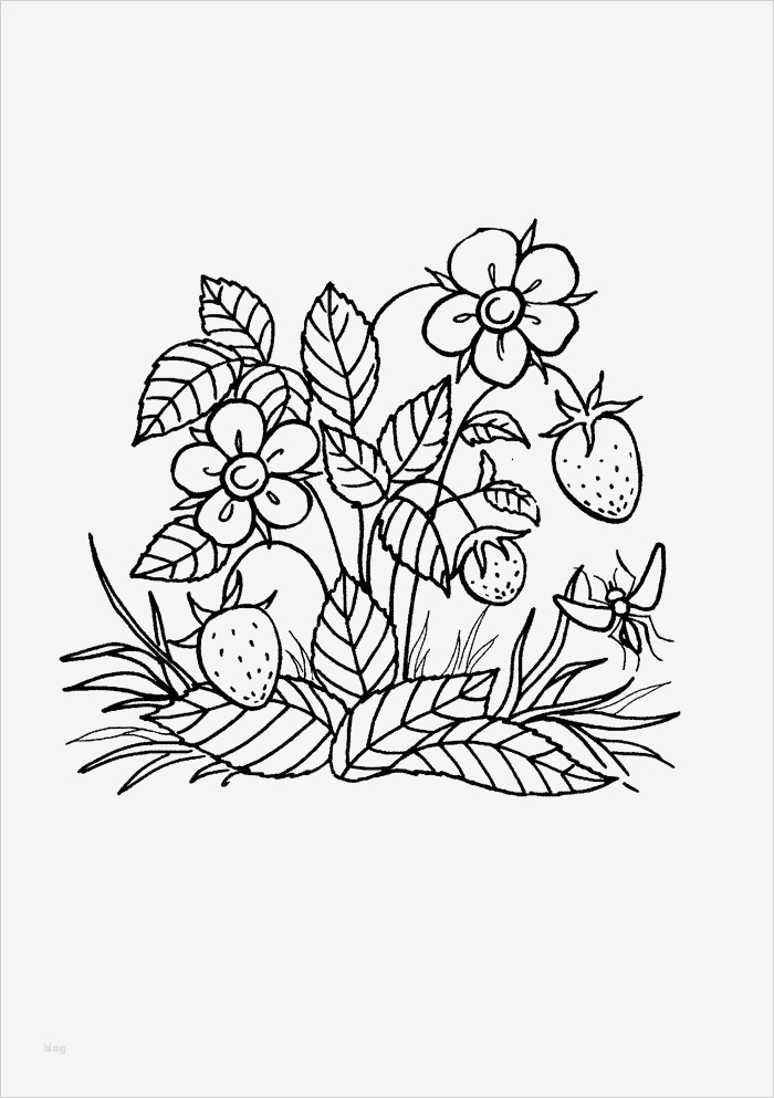 Vorlagen Scherenschnitte Kostenlos Erstaunlich Fragaria Ausmalbilder Beeren Leonie