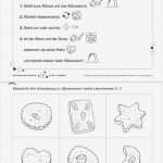 Vorlagen Zum Ausschneiden üben Erstaunlich Kopiervorlage "mäuserennen 1 2 " Aus „die Weihnachts