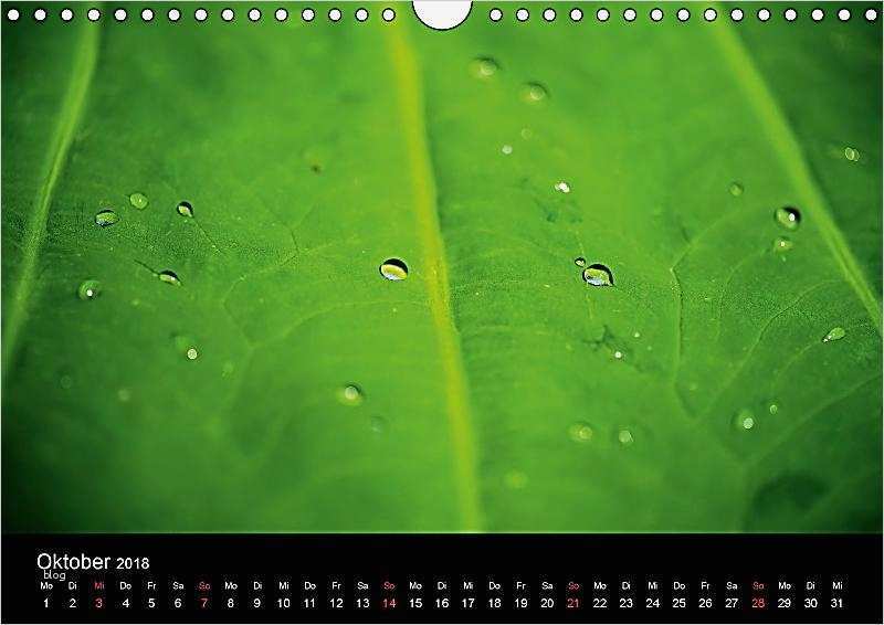 Wandkalender 2018 Vorlage Erstaunlich Leaves Wandkalender 2018 Din A4 Quer Kalender Bei