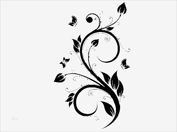 Wandtattoo Nach Vorlage Wunderbar Wandtattoo Blätterornament ornamente & Muster