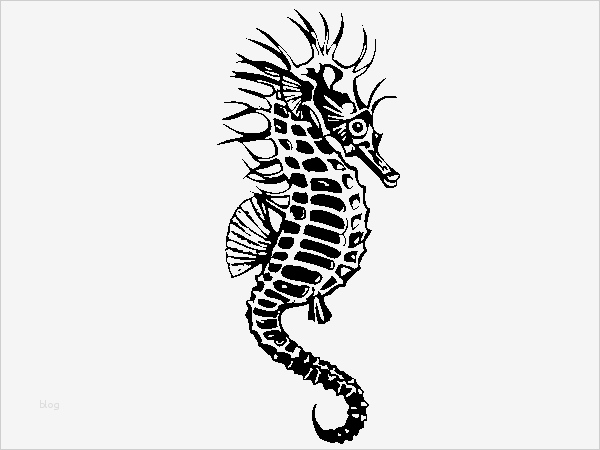 Wandtattoo Nach Vorlage Wunderbar Wandtattoo Seepferd Bildmotive Badezimmer