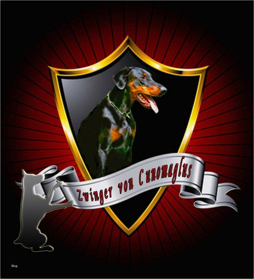Wappen Vorlage Download Schablone Heraldik Wunderbar Dobermannzwinger Von Cunomaglus