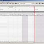 Wareneingang Warenausgang Excel Vorlage Gut Amos Rechnungsbuch Für Excel 2000 Download
