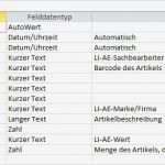 Wareneingang Warenausgang Excel Vorlage Süß Db Für Lagerlogistic Wareneingang Ausgang Umlagerung