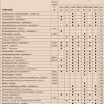 Wartungsplan Maschinen Vorlage Best Of Großzügig Serviceplan Vorlage Ideen Entry Level Resume