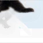 Webseiten Haftungsausschluss Vorlage Schönste Uniqueeyes Kontakt