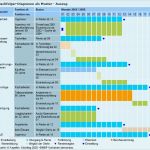 Weg Schritt Diagramm Vorlage Excel Süß Nachfolgeplanung