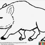 Weihnachtsanhänger Vorlagen Kostenlos Schönste Wildschwein Zum Ausmalen Emsbachinnen