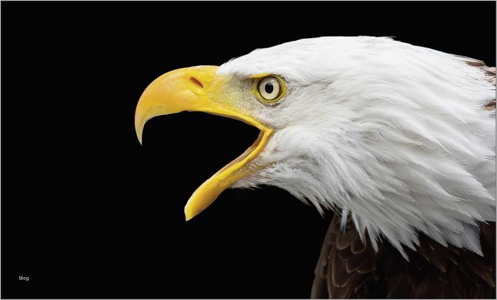 Weihnachtskarte Vorlage Photoshop Fabelhaft Wie Sie Ein Lichtspuren Design Mit Shop Gestalten