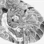Wellen Tattoo Vorlage Gut Japanese Tiger Pectoral 2 by Tigerdreams On Deviantart