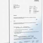 Widerspruch Blitzerfoto Vorlage Schönste Einspruch Bei Versäumnisurteil Kläger Muster Zum Download