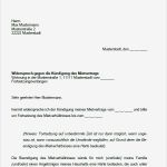 Widerspruch Fristlose Kündigung Arbeitsverhältnis Vorlage Süß Mieter Paket Abmahnungen Kündigungen sofort Download