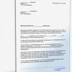 Wie Schreibe Ich Ein Arbeitszeugnis Vorlage Großartig Wie Schreibe Ich Ein Referenzschreiben