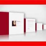 Wie Schreibe Ich Ein Arbeitszeugnis Vorlage Schön Bewerbung Layout Lebenslauf Beispiel