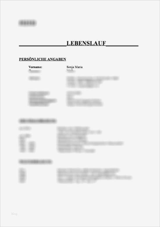 Wie Schreibe Ich Ein Arbeitszeugnis Vorlage Schönste Vorschaubilder Vorlage Lebenslauf Wie Schreibe Ich Einen