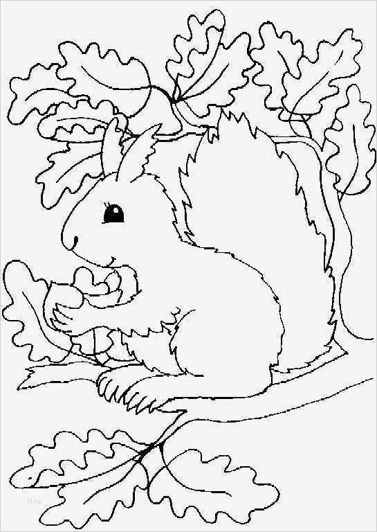 Window Color Vorlagen Fasching Beste Die Besten 25 Ausmalbilder Herbst Ideen Auf Pinterest