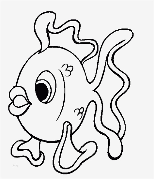 Window Color Vorlagen Fasching Luxus Dibujos De Peces De Agua Dulce Y Salada Para Colorear