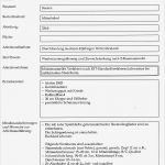 Wir Suchen Mitarbeiter Vorlage Hübsch Erfreut Arbeitsauftragsvorlage Fotos Entry Level Resume