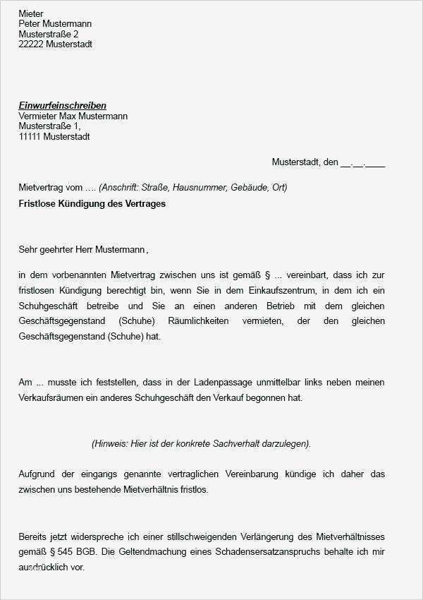 Wohnung Inserieren Vorlage Erstaunlich Kundigung Wohnung Vermieter Vorlage 21 Aufrufe – Rpgesusub