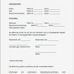 Wohnung Inserieren Vorlage Erstaunlich Mietvertrag Vorlage Wohnung