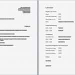 Word Dokument Vorlage Genial Ausgezeichnet Mietvertrag Word Dokument Fotos Bilder Für