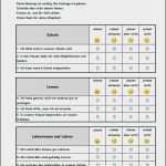Word Fragebogen Vorlage Erstaunlich Beste Word Umfrage Vorlagen Galerie Entry Level Resume