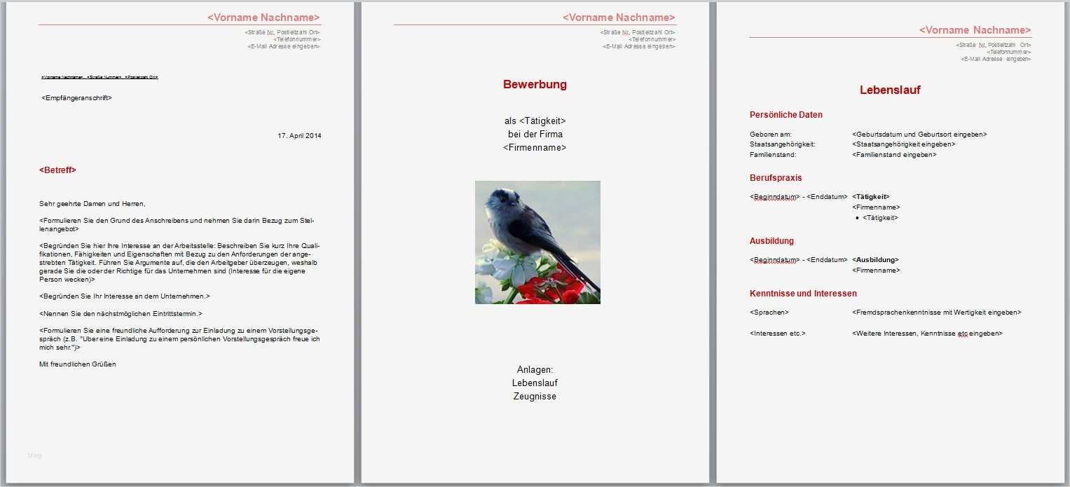 Word Vorlage Anschreiben Bewerbung Erstaunlich Bewerbung Anschreiben Vorlage Kostenlos Word Aufnahme
