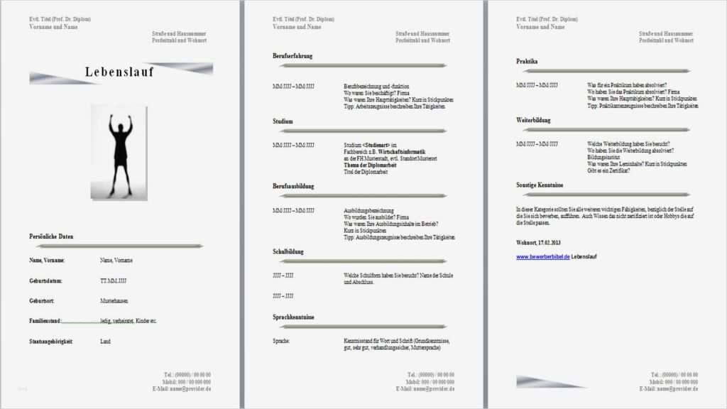 Word Vorlage Lebenslauf Kostenlos Luxus Professioneller Lebenslauf Vorlage Kostenlos Lebenslauf