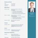 Wordpress Vorlagen Deutsch Wunderbar 20 Lebenslauf 2016