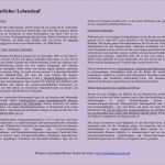 Work and Travel Lebenslauf Vorlage Angenehm Fantastisch Lebenslauf Vorlage Australien Für Studenten