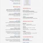 Work and Travel Lebenslauf Vorlage Inspiration Bewerbungsmuster Für Publisher