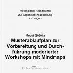 Workshop Planung Vorlage Angenehm Workshop Ablaufplan Moderiert Vorlage Zum Download