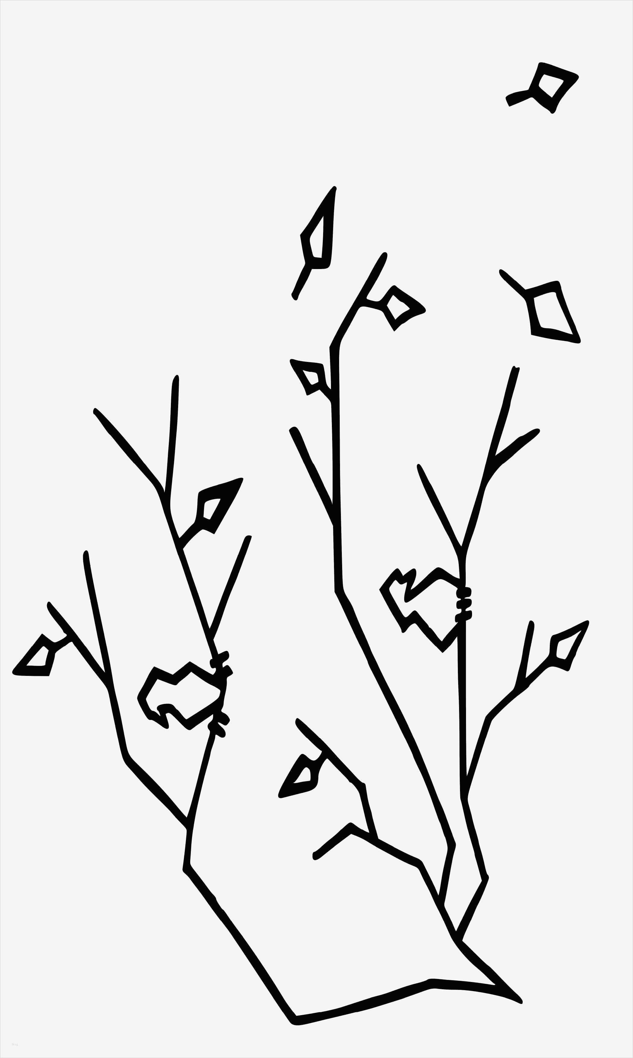 Www Opitec De Vorlagen Genial Exklusive Opitec Downloadvorlagen Für Den Plotter