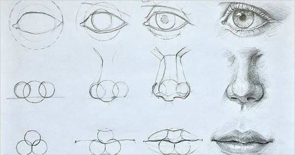 Zeichnen Für Anfänger Vorlagen Schritt Für Schritt Bewundernswert Augen Mund Und Nase Zeichnen Lernen Dekoking