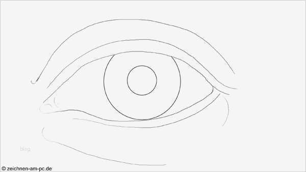 Zeichnen Für Anfänger Vorlagen Schritt Für Schritt Bewundernswert Realistisch Zeichnen & Malen Mit Adobe Shop Tutorial