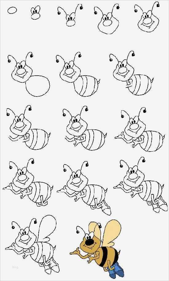 Zeichnen Für Anfänger Vorlagen Schritt Für Schritt Bewundernswert Wie Sie Schritt Für Schritt Zeichnen Für Anfänger