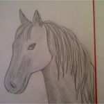 Zeichnen Für Anfänger Vorlagen Schritt Für Schritt Cool Zeichnen Lernen Für Anfänger Pferd Malen Pferdeportrait