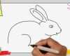 Zeichnen Für Anfänger Vorlagen Schritt Für Schritt Elegant Hase Zeichnen Schritt Für Schritt Für Anfänger & Kinder